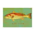 thumbnail image 1 of Trademark Fine Art 'Red Drum' Canvas Art by John W. Golden, 1 of 3