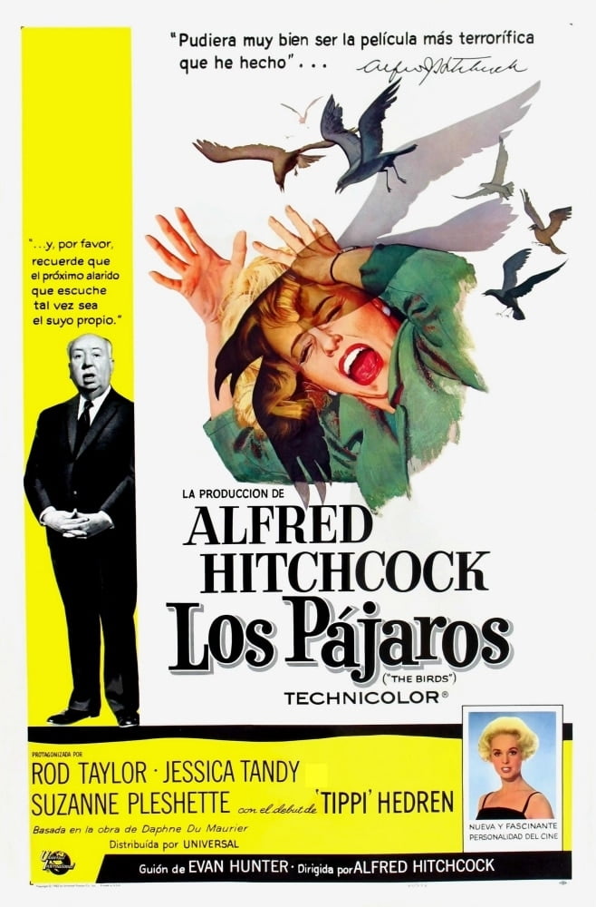 The Birds (Aka Los Pajaros) Alfred Hitchcock Tippi Hedren 1963 Movie ...