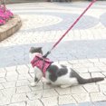 thumbnail image 3 of Pet Walking Harness Leash Set Escape Proof Adjustable Soft Pet Chest Strap Escape Small Animal Vest Clothes Rope, Red, XS, 3 of 9