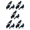 thumbnail image 1 of Shengyu Halloween Party Decoration - Clear Texture And Festive Ambiance Simulation Crow three-piece 5Set, 1 of 6