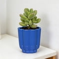 thumbnail image 2 of Mainstays Arlo 4" x 4" x 4" Round Royal Blue 100% Recycled Resin Planter, 2 of 9