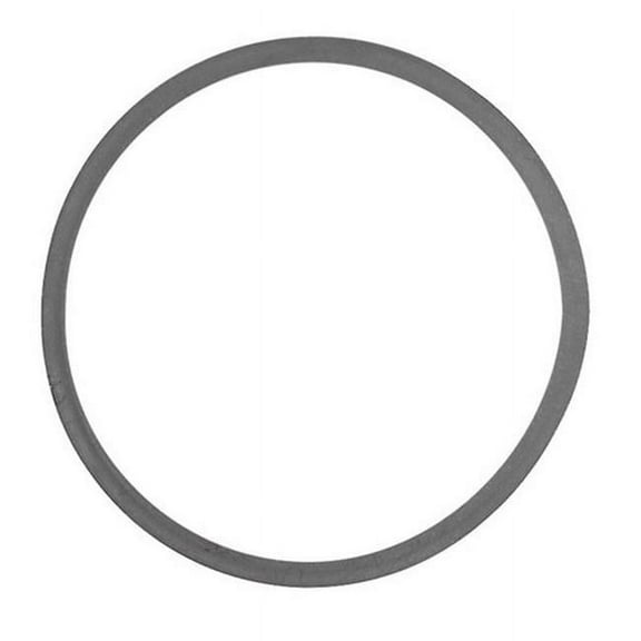 Danco Rubber Slip-Joint Washer