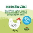 thumbnail image 3 of Manna Pro Farmhouse Favorites Chicken Treats - Triple Bug Mix  - 1 Bag - 2lb, 3 of 7