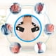thumbnail image 4 of Almohadillas de electrodos TENS Belifu (20 unidades): almohadillas de repuesto autoadhesivas reutilizables con conector a presión de 3,5 mm, sin látex, compatibles con unidades TENS y EMS para aliviar, 4 of 5