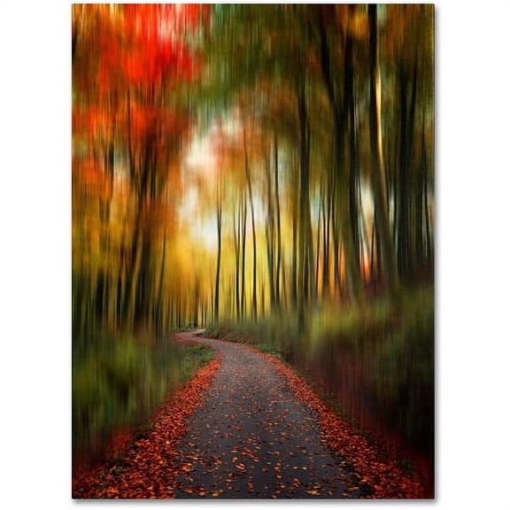 Trademark Fine Art "The Lost Path" Canvas Art by Philippe Sainte-Laudy