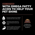 thumbnail image 4 of Puppy LB - Skin & Coat w/ Grains - Salmon - Dry Dog Food, 4 of 5