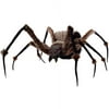 6' Long Monstrous Halloween Spider with Light Up Eyes
