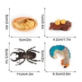thumbnail image 3 of Fiudx Ofertas Flash Del Día Figura De Insecto De 4 Piezas, Ciclo De Vida, Cría De Plástico Hasta Período, 3 of 4