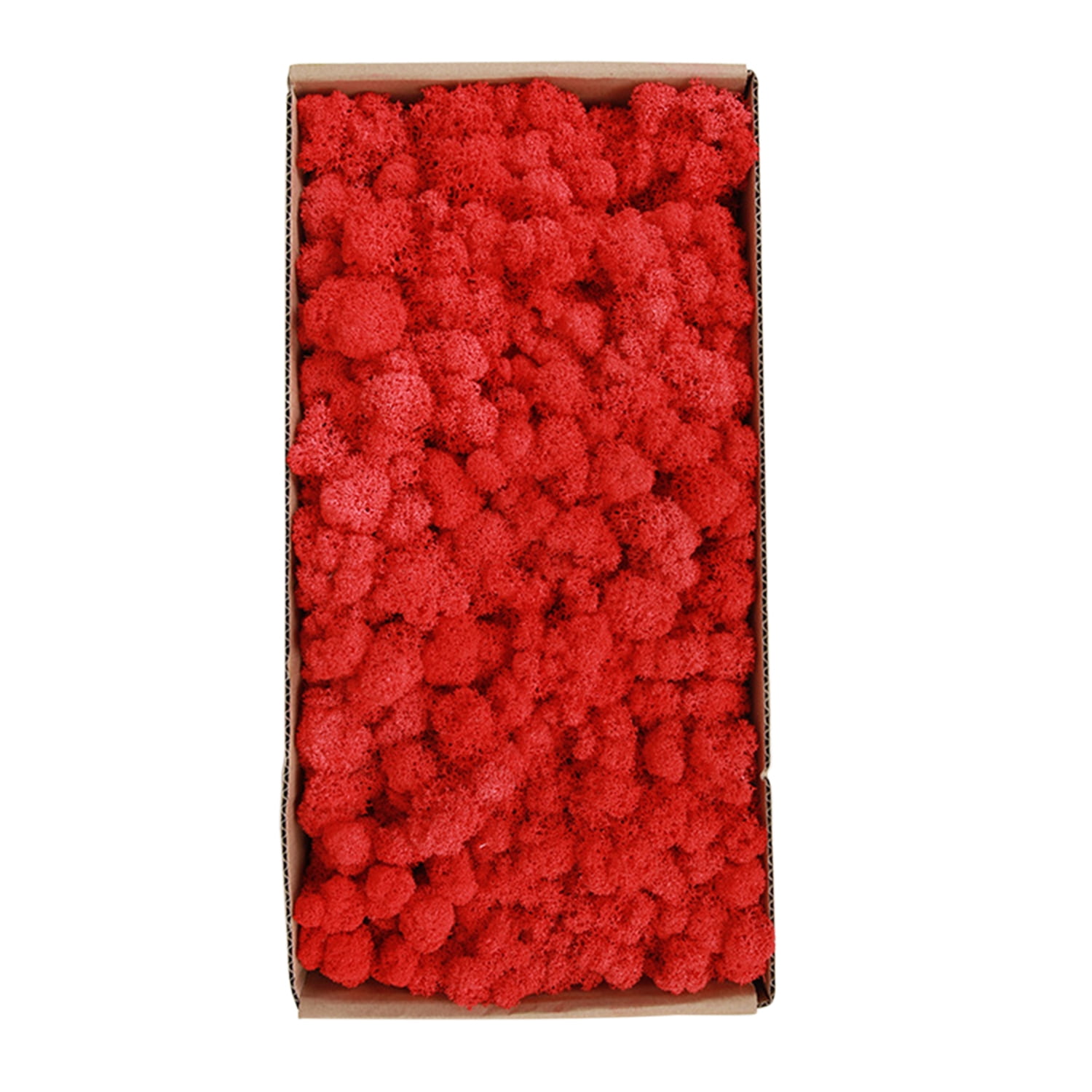 Preserved Moss Wall Decor Real Preserved Moss No Maintenance Required