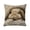 Brown, variant on Decorative Pillow Covers 17.7x17.7 Inch Square Easter Spring Throw Pillow Cases Soft Cotton Fabric Hidden Zipper for Living Room Sofa Bed Couch