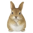 thumbnail image 1 of Estatuine Hi-Line Gift Ltd., conejito regordete de pie, 1 of 5
