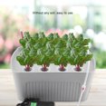 thumbnail image 4 of Sistema hidropónico de 11 agujeros para cultivo de plantas y flores, caja de cultivo sin suelo de 110V (enchufe gris de EE. UU.), 4 of 8