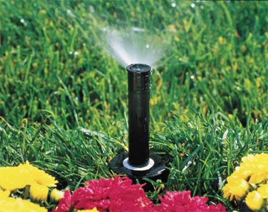 rainbird heads