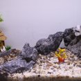 thumbnail image 3 of 1 Pcs Colorful Coral Reef Decor Mini Faux Coral Decor for Aquarium Decorations Yellow Red 4.8x5.8cm, 3 of 7