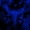 Deep Blue, variant on Feelyou Horror Bat Skull Bed Sheets, Red Butterfly Halloween Full Size Sheets, 4pcs, 1 Flat Sheet, 1 Fitted Sheet and 2 Pillowcases