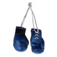 thumbnail image 1 of Colgante de guantes de boxeo en negro, azul, rosa y blanco, mini guantes de boxeo, azul, 1 of 5