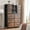 Brown, variant on EnHomee Tall Dresser for Bedroom Large Dresser with Cabinet and 10 Drawers 38"W x 48.1"H Fabric Dresser for Closet,Black