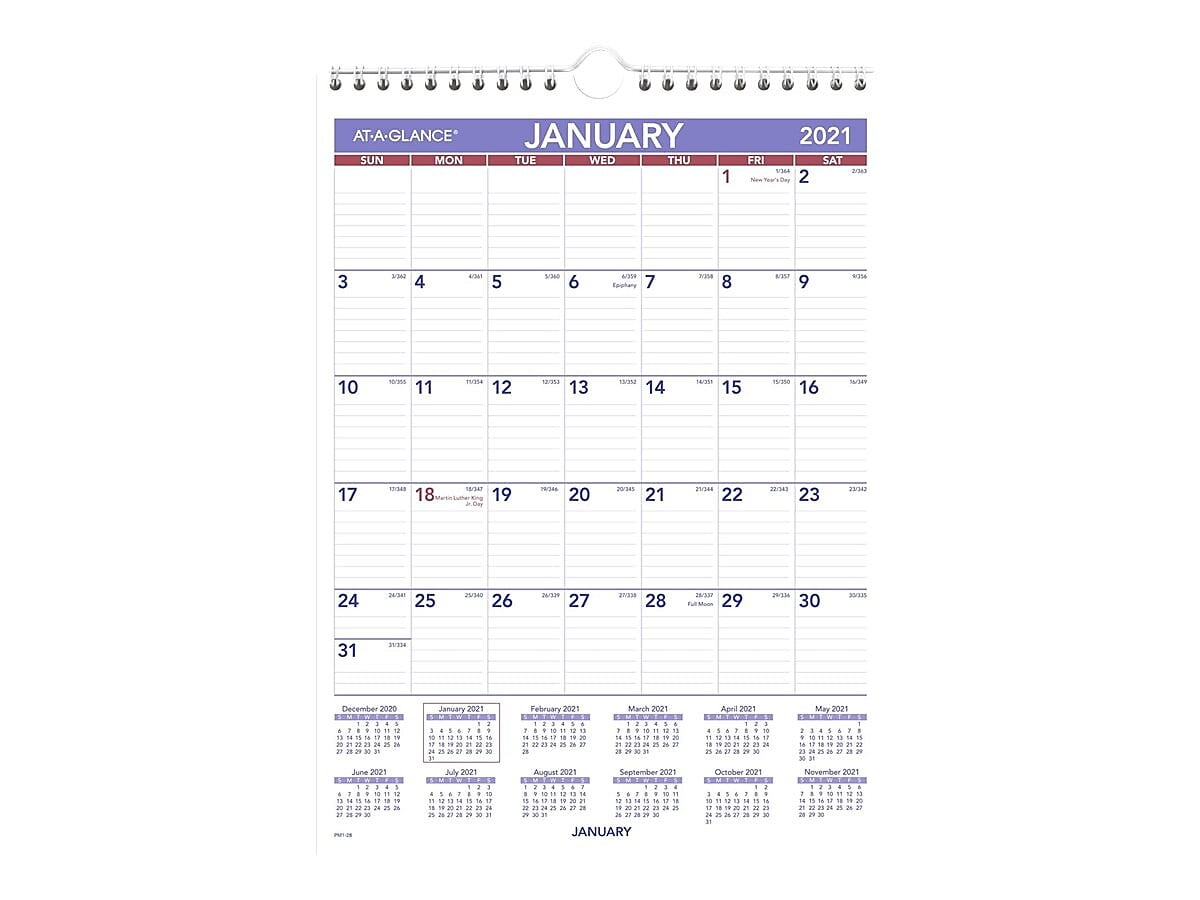 Blue Sky 2021 15.5 x 22.75 Wall Calendar White PM32821