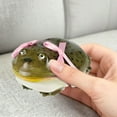 thumbnail image 4 of Klonfd Earbuds Compatible With Frog Design Cover Animals Soft Scratch Wireless Earphone Protector Handmade, 4 of 4