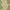 Olive/Natural, variant on SAFAVIEH Courtyard Kevin Floral Indoor/Outdoor Area Rug, 6'7" x 9'6", Terracotta/Natural