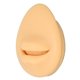 thumbnail image 4 of Modelo de boca de silicona suave Ticfox herramienta de enseñanza 3,1 pulgadas 2,4 pulgadas, 4 of 14