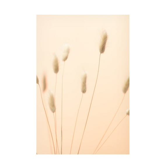 Trademark Fine Art Pictufy Studio Bunny Grass Peach 02 Canvas Wall Art