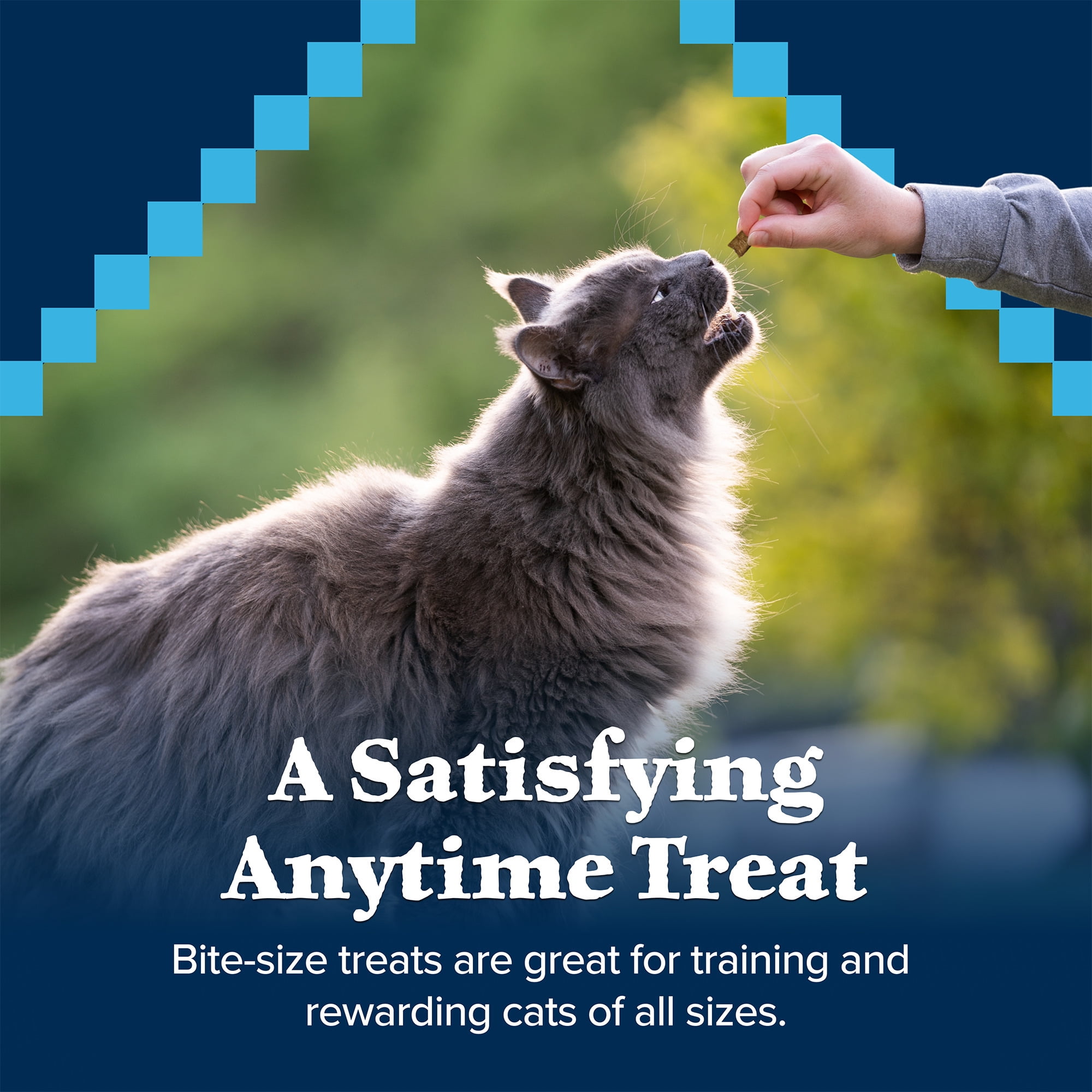 Blue Buffalo Wilderness Natural Soft Cat Treats Made, Chicken & Turkey Recipe, 2-oz. Bag