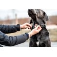 thumbnail image 3 of Collar Herm Sprenger de acero inoxidable para adiestramiento de perros, 3 of 7