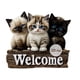 thumbnail image 2 of Letrero de bienvenida de madera colgante, placa de madera 2D multiusos con cuerda para habitación de mascotas Gato, 2 of 7