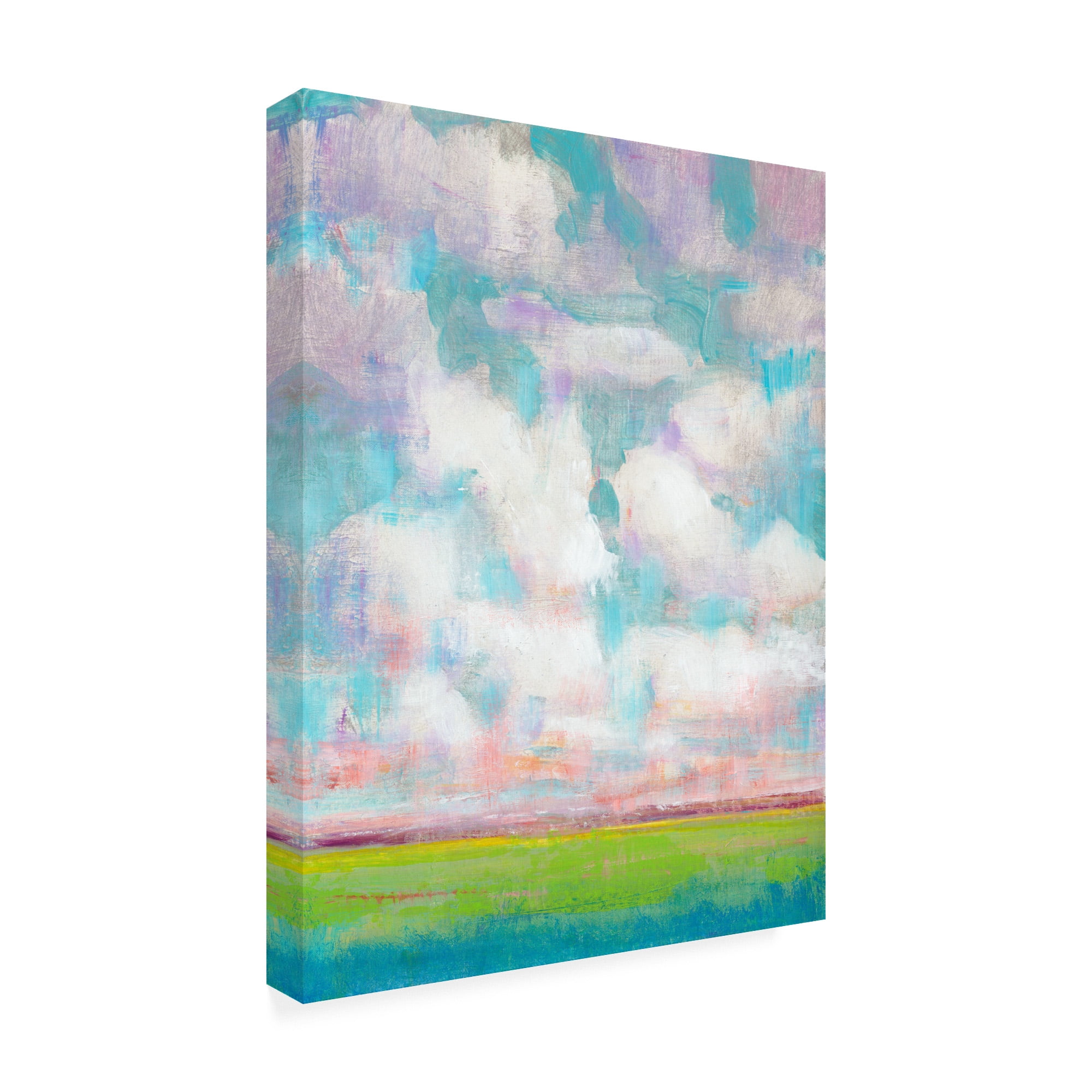 Trademark Fine Art 'Clouds in Motion I' Canvas Art by Tim OToole