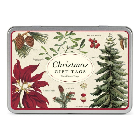 Cavallini Papiers & Co., Inc. Ensemble de Étiquettes Cadeaux Bontanica Scintillantes de Noël