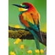 thumbnail image 1 of Diamante (DE6409) Serie animal pájaro color arcoíris redondo resina E556 30x40cm Hugtrwg Para estrenar, 1 of 1
