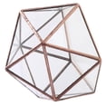 thumbnail image 4 of GUOOL Glass Geometric Terrarium Box Plant Planter 12 x 12 x 12cm 12 x 12 x, 4 of 9