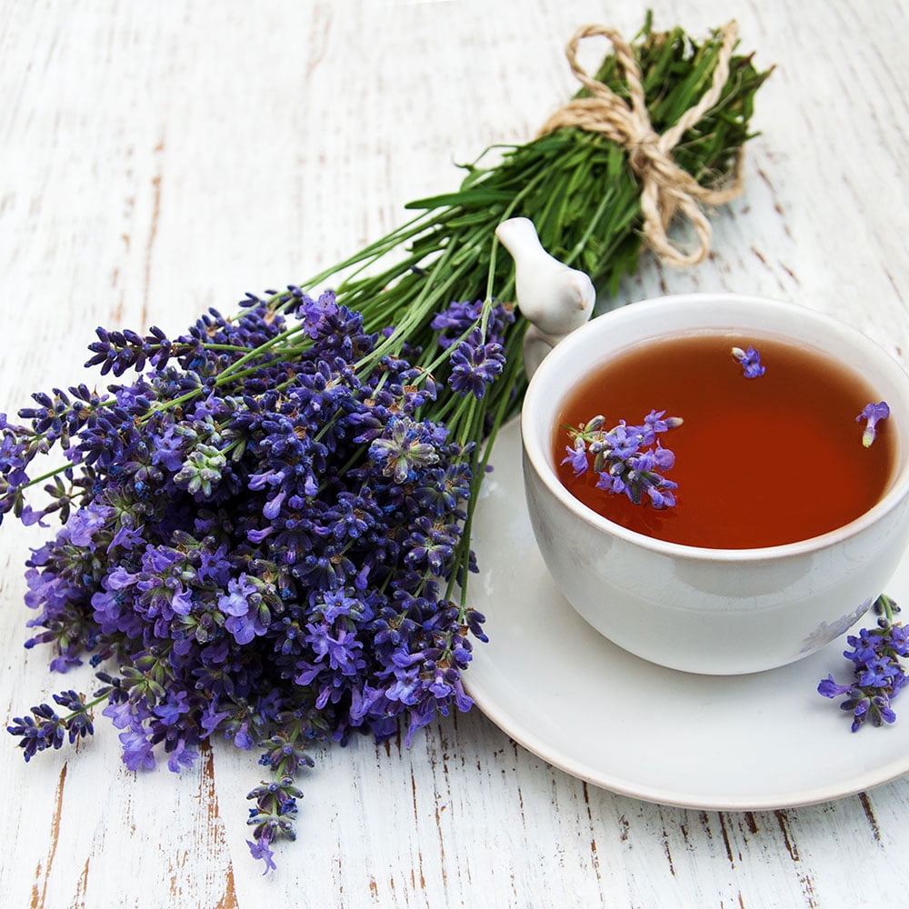 Bonnie Plants Lavender 2.32 qt.