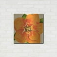 thumbnail image 3 of Luxe Metal Art 'Copper Petals I' by Annie Warren, Metal Wall Art, 24"x24", 3 of 8