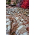 thumbnail image 2 of OBrien, Jay 13x18 Black Ornate Wood Framed with Double Matting Museum Art Print Titled - USA, Utah, Zion NP Ground rock pattern, 2 of 4