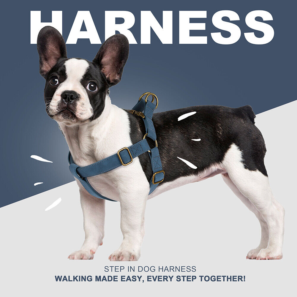Pet Artist PU Leather Step In Dog Harness Pet Chest Strap Vest Adjustable French Bulldog