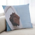 thumbnail image 1 of Ahgly Company Foods Brownie Indoor Throw Pillow, 18 inch by 18 inch, 1 of 6
