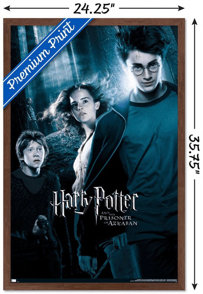Harry Potter and the Prisoner of Azkaban - Forest One Sheet Wall Poster, 22.375" x 34", Framed