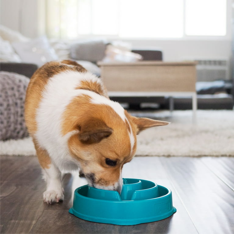 Outward Hound Slow Fun Feeder Bowl, Slow Feeder Dog Bowl