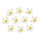 thumbnail image 1 of 10 horquillas para el pelo de 6 cm con forma de flor hawaiana, con forma de huevo, para fiesta luau en la playa (blanco y amarillo), 1 of 7