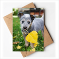 thumbnail image 1 of Cartes de Vœux Photographie Chiot Heureux Vous Tes Invités Invitations, 1 of 3