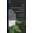 Pink, variant on St. Basil the Great: A Study in Monasticism (Paperback)