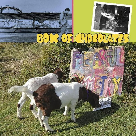 Box of Chocolates - Fearful Symmetry - Music & Performance - Vinyl