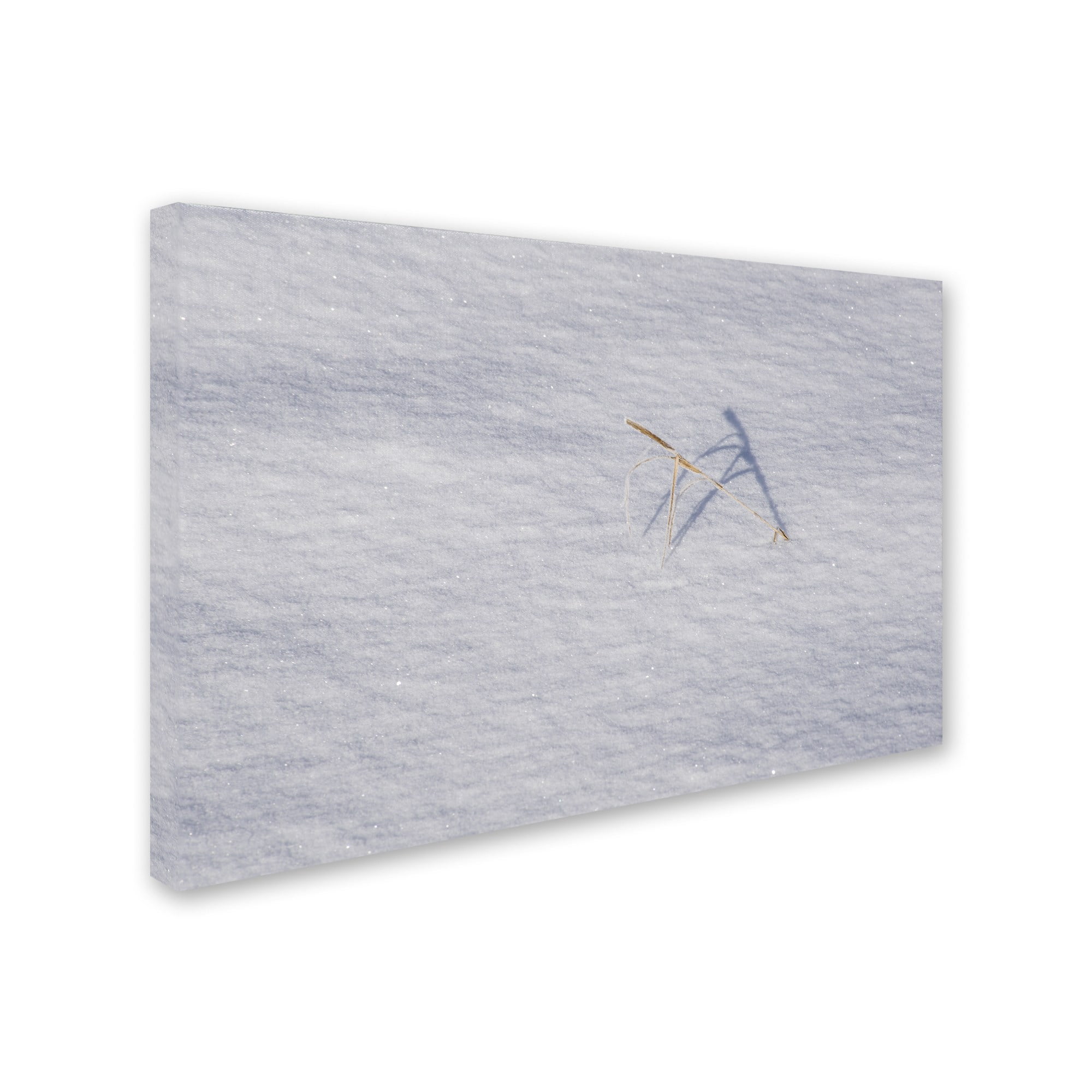 Trademark Fine Art "Winters Bleak Beauty" Canvas Art by Kurt Shaffer