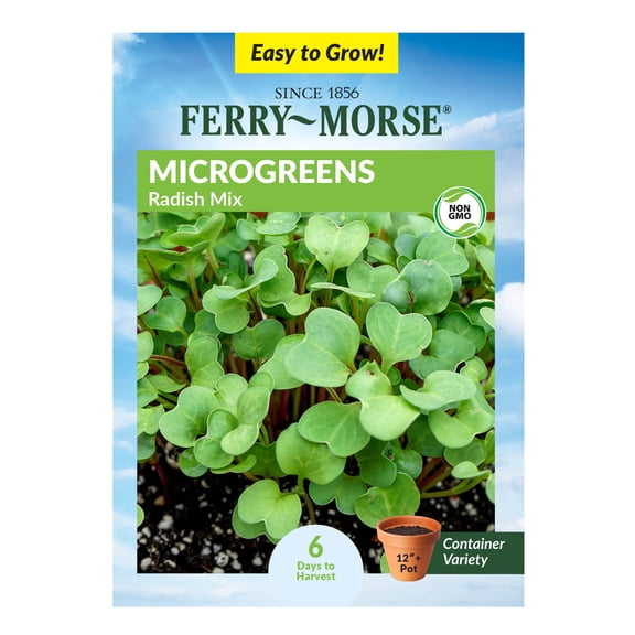 Ferry-Morse 2G Microgreens Radish Mix Annual Vegetable Seeds, Full Sun