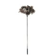 thumbnail image 3 of Extendable Ostrich Feather Duster, 75 inches Scalable Feather Collector Fluffy Long Handle Reusable, Ceiling Fan Cleaner Duster for Cleaning, Ceiling Fan Chandeliers High Ceiling Blinds Furniture, 3 of 9