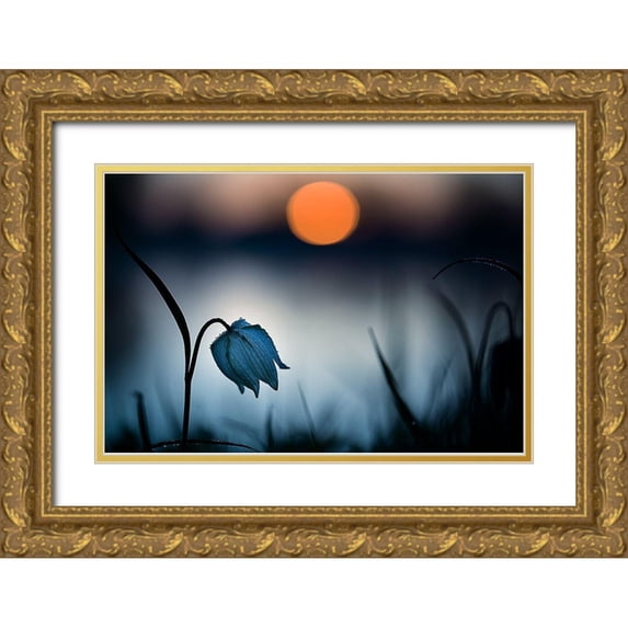 Mijer, Wil 32x23 Gold Ornate Wood Framed with Double Matting Museum Art Print Titled - Rising sun