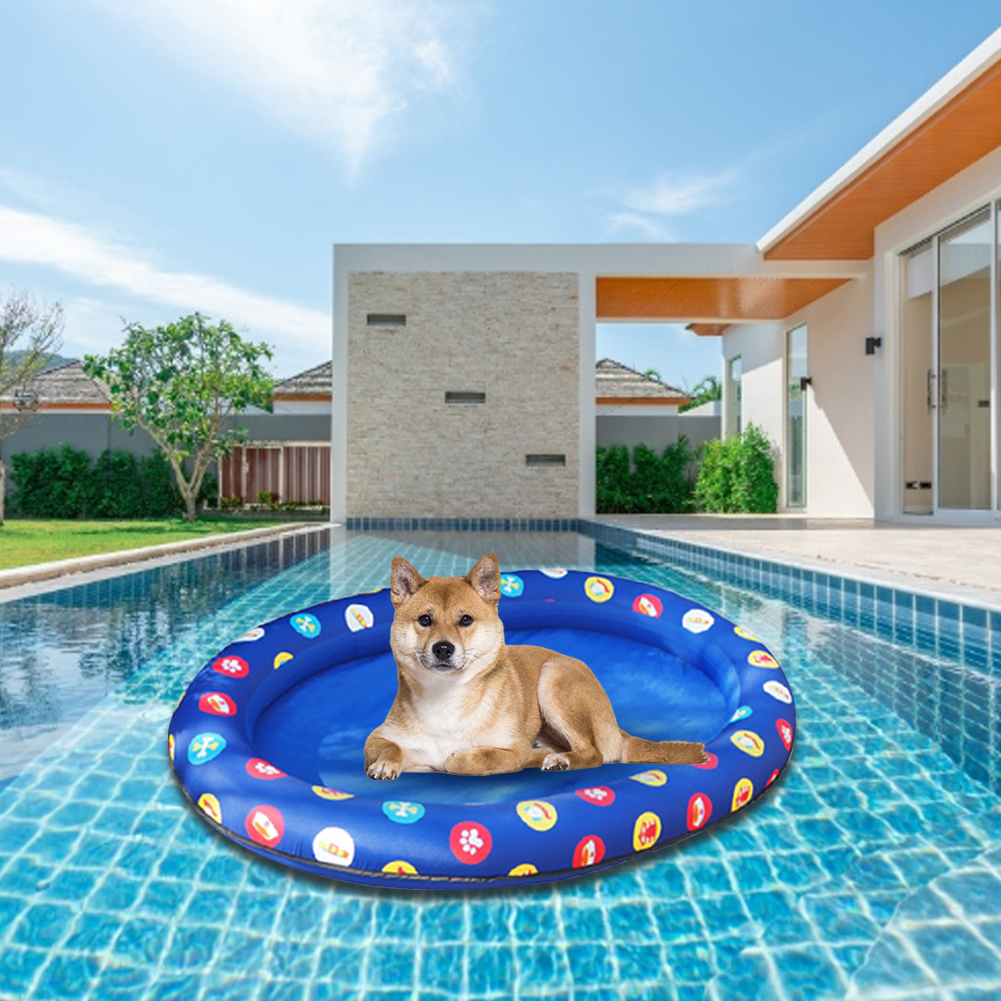dog floatie