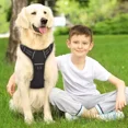 thumbnail image 5 of Arnes Para Perro Grande, Chaleco Ajustable + Correa Talla M, 5 of 5
